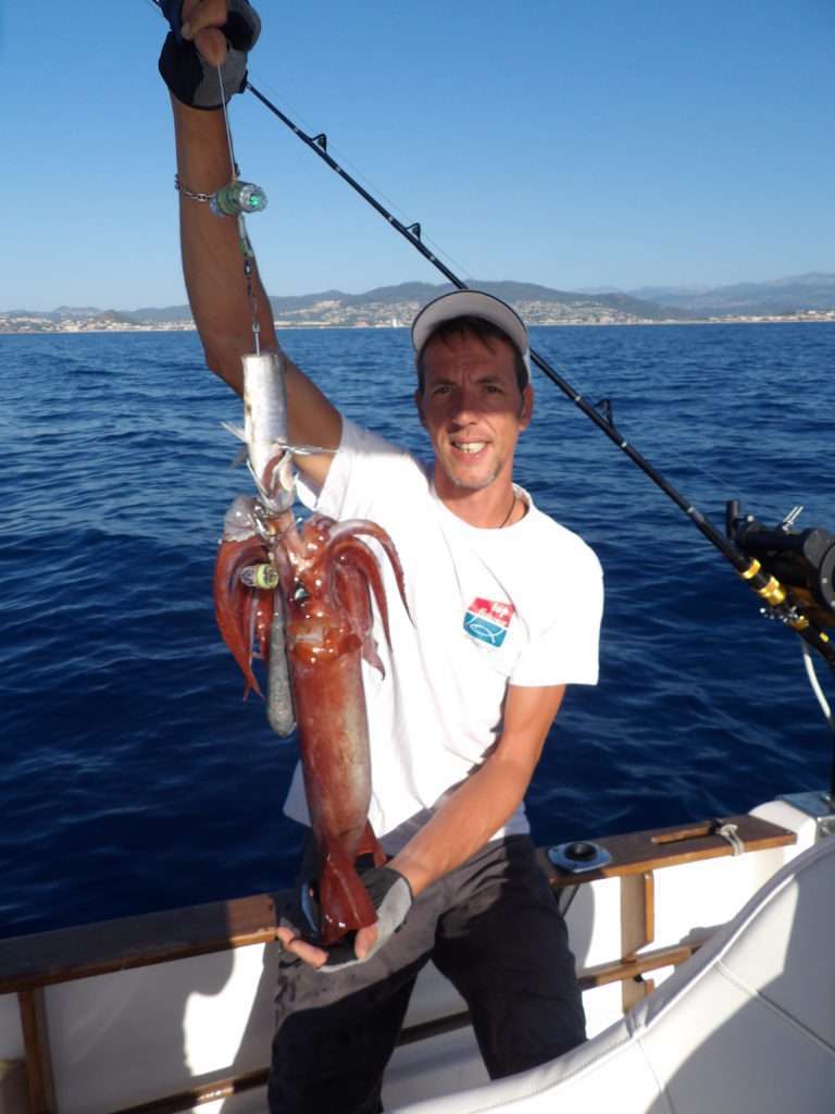 Pêche des calamars rouges à la turlutte cage plombée Flashmer - Blog  Flashmer