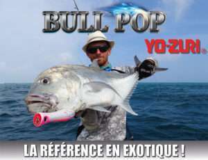 Bull Pop Yo-Zuri : la référence en exotique !