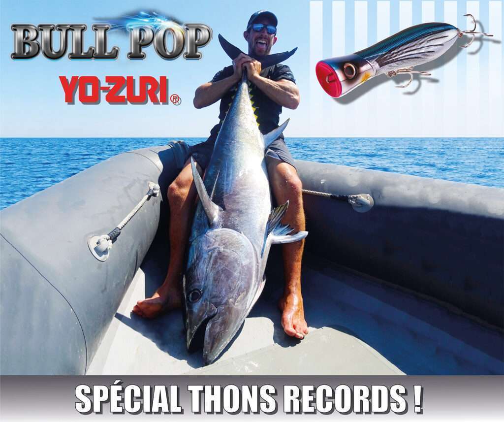 Bull Pop : un must pour les thons rouges records en France !