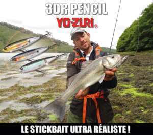 3DR Pencil Yo-Zuri : le stickbait ultra réaliste !